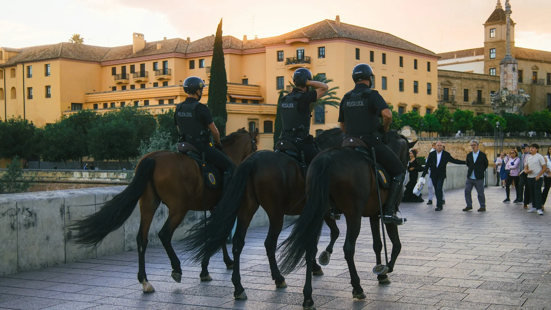 A pure-bred Andalusian horse performing classical dressage in the arena of the Royal Andalusian School of Equestrian Art in Jerez de la Frontera